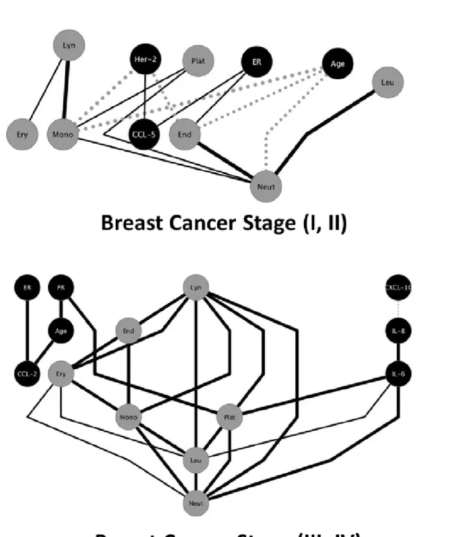 Figure 3: Network analysis. Biomarkers networks in Breast cancer, Stages (I, II)  or Stages (III, IV) groups