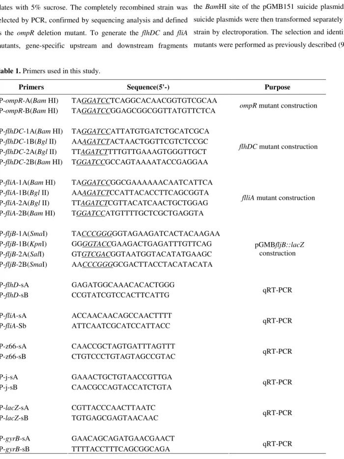 Table 1. Primers used in this study. 
