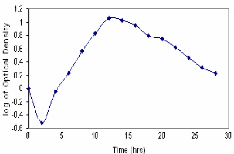 Figure  1.  Growth  profile  of  Proteus  mirabilis  strain  ATCC  29245. It shows that maximum active biomass can be achieved  in 12-14 hrs after incubation