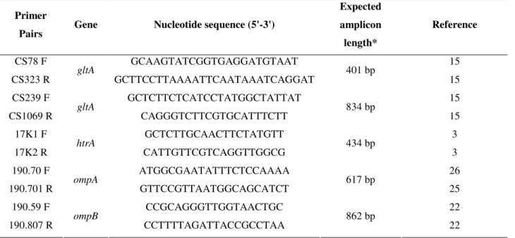 Table 1. Primers used for amplification of rickettsial genes in both PCR and DNA sequencing
