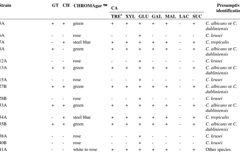 Table 1. Identification of Candida spp. by germ-tube test (GT), chlamydoconidia production test (CH), culture in CHROMAgar 