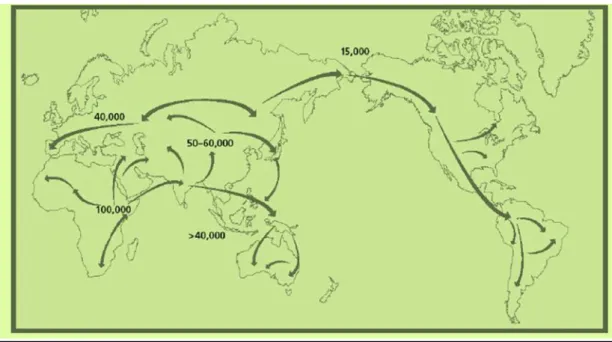 Figura  2.1  –  Origem  do  homem  moderno  e  processos  migratórios  em  África  (retirado  da  www.laboratoriogene.info/Genealogia_por_DNA/Materna.pdf ).