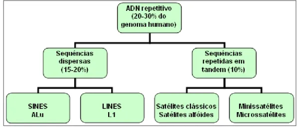 Figura 2.8 – Classificação das sequências de ADN repetitivo no genoma humano (Fowler et al., 1988)