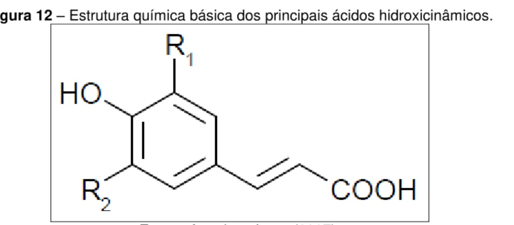 Figura 12 – Estrutura química básica dos principais ácidos hidroxicinâmicos. 