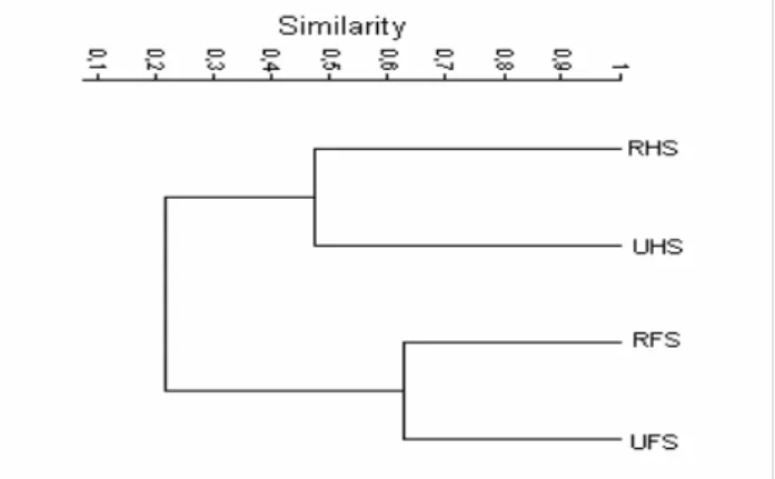 Figure  1.  Cluster  analysis  of  the  T-RFLP  patterns  from  the  four  bacterial  communities