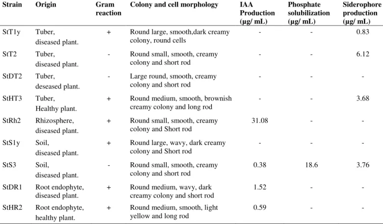 Table 1. Morphological and physiological characterization of potato rhizosphere associated antagonistic bacteria