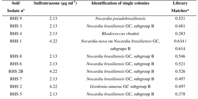 Table  3.  Identification  of  bacterial  strains  using  MIS,  in  a  Rhodic  Hapludox  Soil