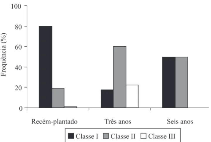 Figura  4.  Frequência  de  formigueiros  de  Acromyrmex  crassispinus, em áreas de Pinus taeda recém-plantado, com  três anos e com seis anos de idade, por classe de tamanho