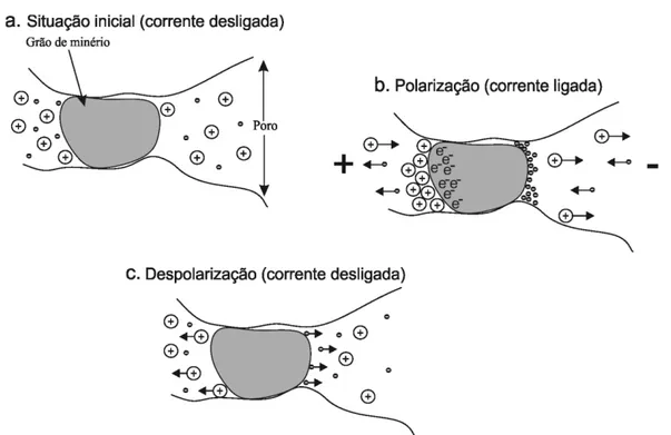 Figura 3. 7- Polarização de Eletrodo: comportamento das cargas a. antes, b. durante (polarização e  sobrevoltagem) e c