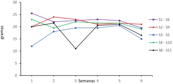 Figura 7. Consumo de ração das duplas acopladas durante o estressor agrupamento ao longo das  seis semanas de exposição a esse tipo de estressor