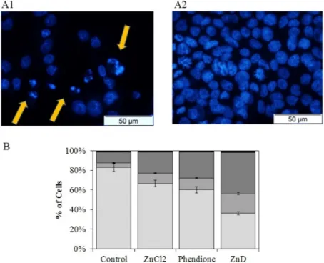 Figure 2. Cont.