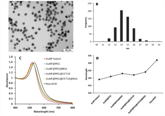 Figure 4. Physicochemical characterization of AuNP constructs. TEM image analysis of core naked AuNPs (scale bar, 50 nm) (A) evidencing an average diameter of 14 nm (B), UV/Vis spectra of AuNP constructs, (C) and surface plasmon resonance (SPR) peak variat