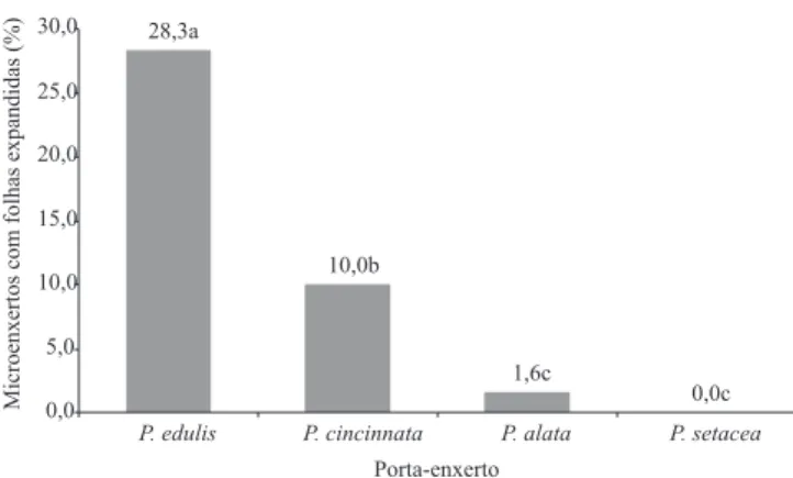 Figura 2.  Avaliações anatômicas na região do hipocótilo em Passilora alata (A), P. edulis (B), P
