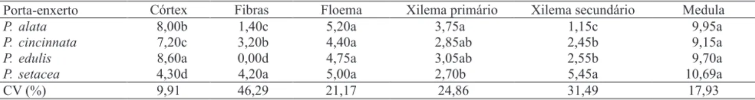 Tabela 2.  Número médio de camadas celulares do córtex, ibras, loema, xilema primário, xilema secundário e medula do  hipocótilo em porta-enxertos de Passilora alata, P