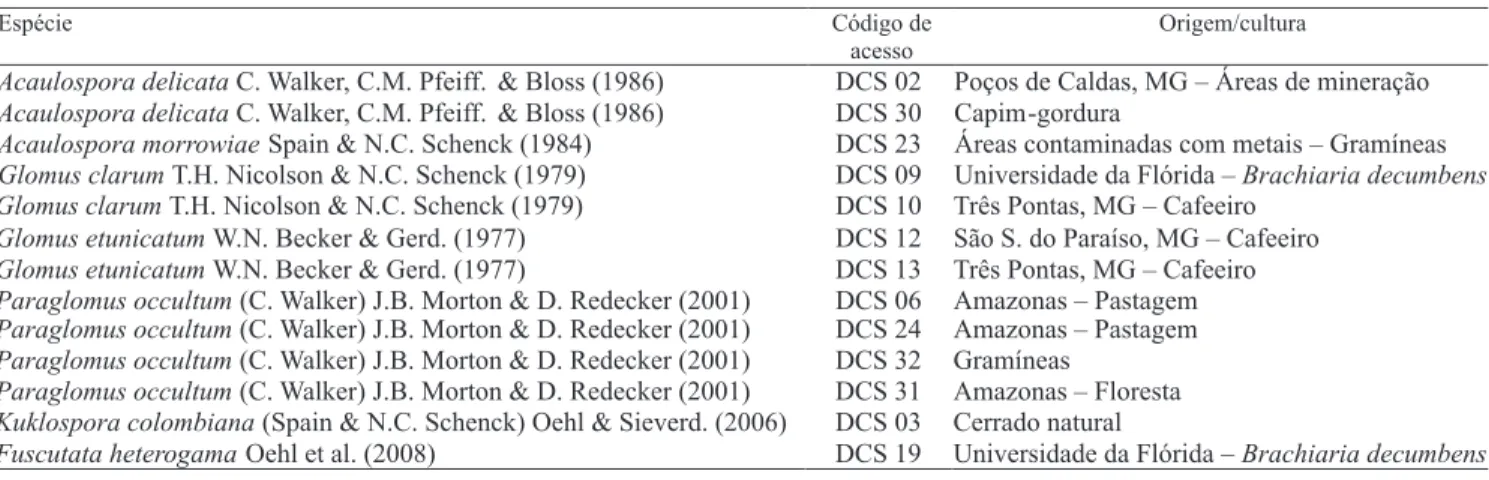 Tabela 1. Isolados da coleção de fungos micorrízicos arbusculares da Universidade Federal de Lavras utilizados no estudo.