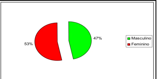 Figura 4: Percentual da amostra segundo o sexo (n=15). 