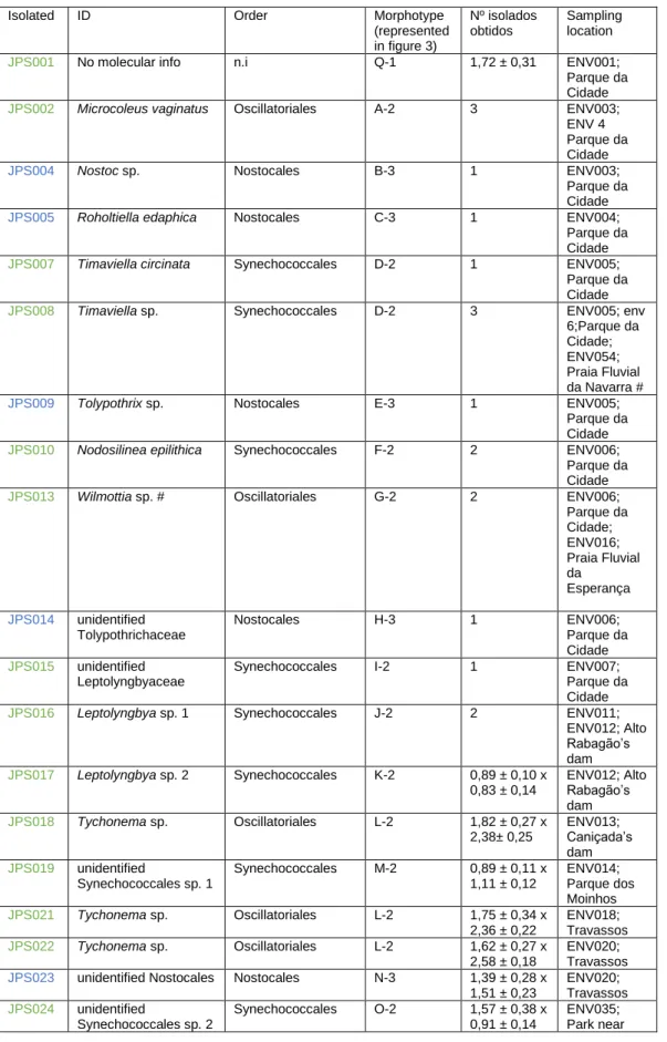 Table 6. Isolated strains, their respective identification (Komarek et al., 2014) with each correspondent morphotypes  represented in figure 3 and their classification according to: 1-  Unicellular, 2- heterocytous filamentous 3-  non-heterocytous filament