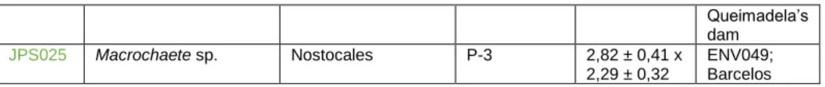 Figure 4. Number of strains isolated per -order level. 