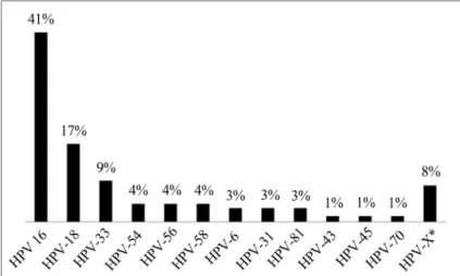 Figure 1 - HPV genotypes identified by sequencing.