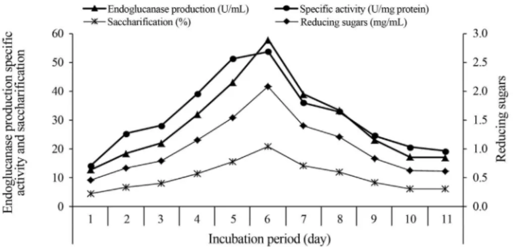 Figure 6 - Effect of incubation periods on endoglucanase production, reducing sugars level and saccharification of sugarcane bagasse by S