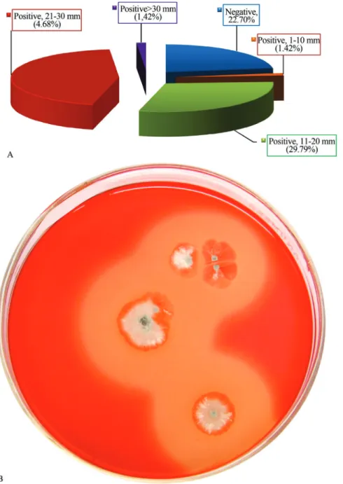 Figure 1 - A- Screening of actinomycetes isolates for the degradation of caboxymethylcellulose on CMC-agar (percentage inside the parenthesis indi- indi-cates the frequency of actinomycetes isolates within specific category in relation to the total isolate