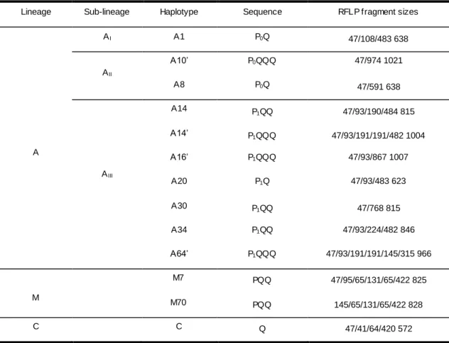 Table 3. RFLP length patterns deduced from the DraI test for the 13 haplotypes found in the Azores Archipelago