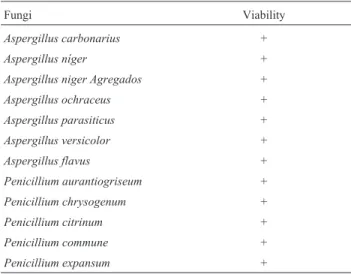 Table 3 - Represents the viability of potentially toxigenic fungal isolates at time 0.