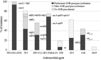 Figure 2 - Frequencies (%) of antimicrobial resistance (AMR) detected among the MRCoNS investigated in this study and resistance gene or gene combi- combi-nations harboured by the resistant staphylococci