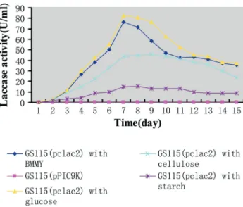 Figure 3 - Effect of various carbon sources on the activity of PCLAC2 in cultures from 1-14 days.