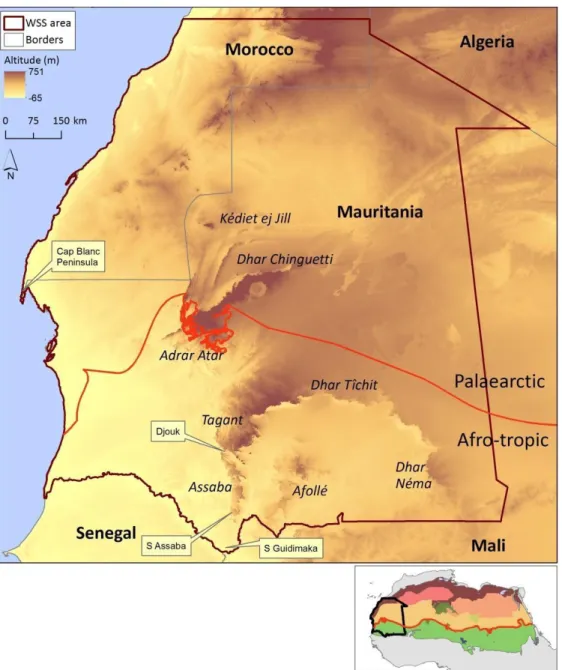 Figure  1  –  Location  of  the  West  Sahara-Sahel  (WSS)  and  distribution  of  ecoregions  (coloured  polygons;  adapted  from  Dinerstein et al., 2017) in North Africa (small inset)