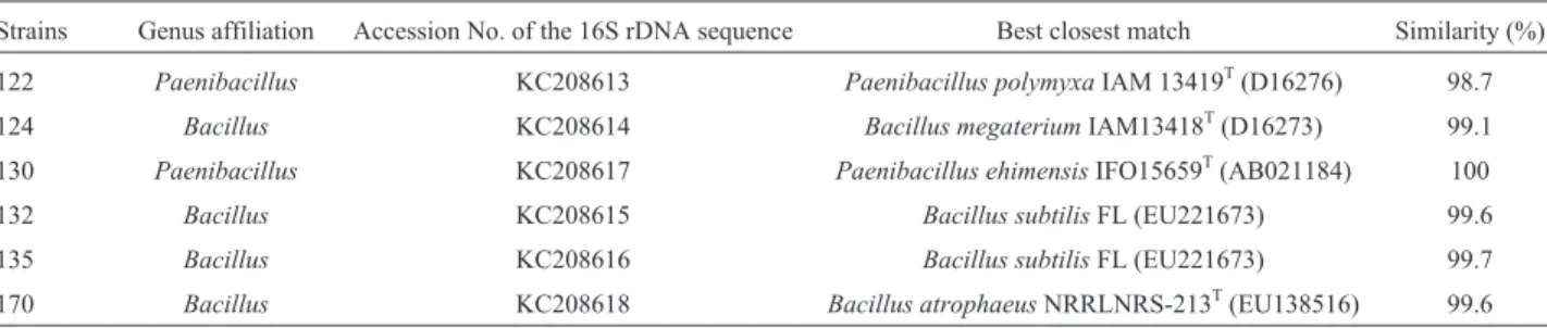 Table 4 - Identification and classification of the tested strains.