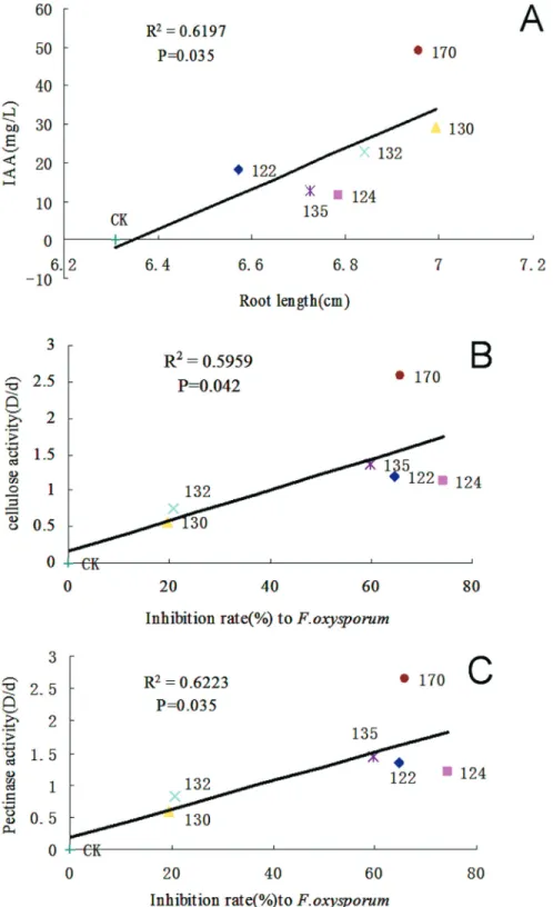 Figure 1 - Regression analysis of the effect of endophytic bacteria on root length and the pathogenic fungus F