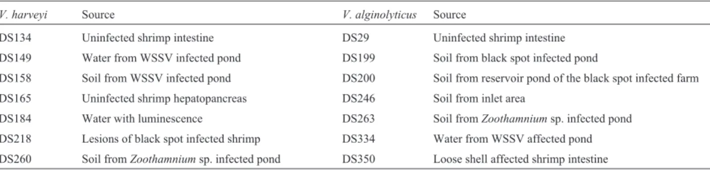 Table 1 - Details of the shrimp (Penaeus monodon) -farm-associated bacterial strains in the experiment.