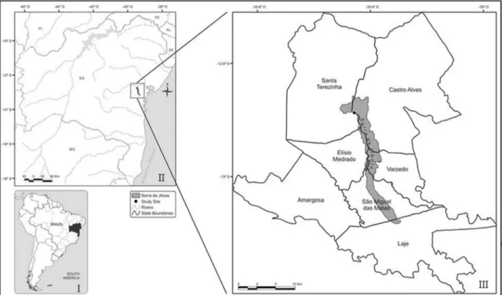 Figure 1 - Location of the Serra da Jibóia in the state of Bahia, Brazil (I, II); and collection site in the municipality of Santa Terezinha (Morro da Pioneira) indicated by the black point on the map (III).