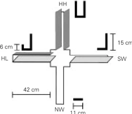 Figure 1 - Simplified diagram of the elevated asymmetric  plus-maze. NW = No wall arm; SW = single wall arm; HL = high and low wall arm; HH = two high wall arm