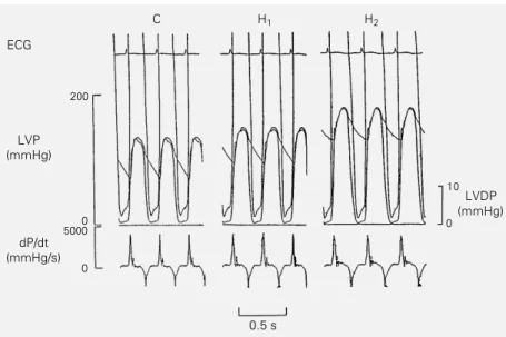 Table 1 shows the data obtained under the C, H 1  and H 2  conditions. Statistical  anal-ysis revealed that LVSP (C: 119 ± 8.1; H 1 : 142 ± 7.9; H 2 : 166 ± 7.7 mmHg) and DAP (C: 89 ± 11.6; H 1 : 99 ± 9.5; H 2 : 120 ± 11.8 mmHg) were significantly differen
