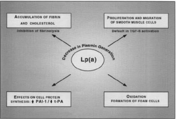 Figure 5 represents an overall view of these different mechanisms.
