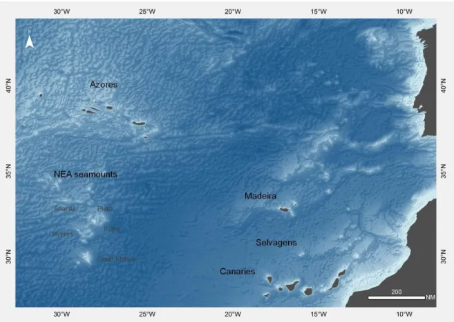 Fig.  1  -  Study  area:  the  Macaronesian  archipelagos  of  the  Azores,  Madeira,  Selvagens  and  Canaries,  and  the  northeast  Atlantic seamounts located southern of the Azores