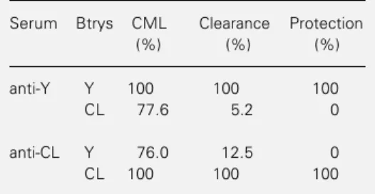 Table 1 - Ability of antisera to Y or CL bloodstream trypomastigotes (Btrys) to induce homologous or heterologous complement-mediated lysis (CML), clearance and protection.