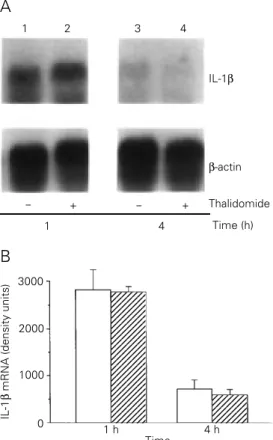 Figure 4 - Northern blot analysis of IL-1ß mRNA expression in spleens of mice injected with 100 µg LPS