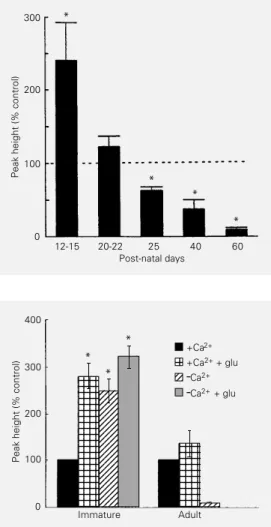 Figure 4 - Developmental profile of the sensitivity of GFAP  phos-phorylation in incubated  hippo-campal slices to external Ca 2+ 