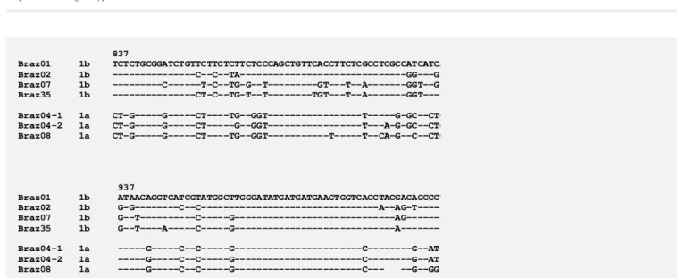 Figure 1 - Partial nucleotide sequence of the E1 region from nt 837 to nt 1012. Samples Braz01, Braz02, Braz07, and Braz35 were assigned to genotype 1b, and the others to genotype 1a