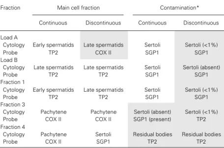 Table 4 - Comparison between the results of cytological and molecular analyses of the germ cell types in each fraction of continuous and discontinuous Percoll ®  gradients.