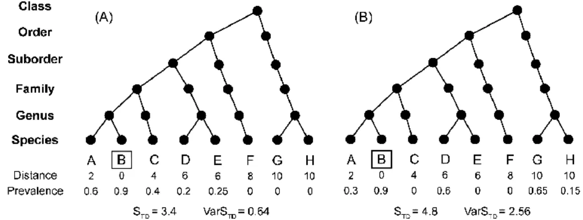 Figure 1-5 Hypothetical example on the influence of parasite distribution among host species for host-specificity indexes