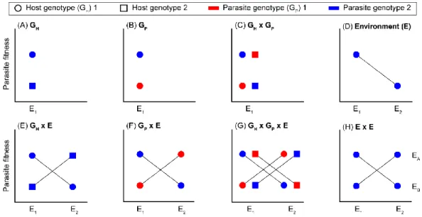 Figure 1-7 Influence of host genotype, parasite genotype, environment and their interactions on parasite fitness