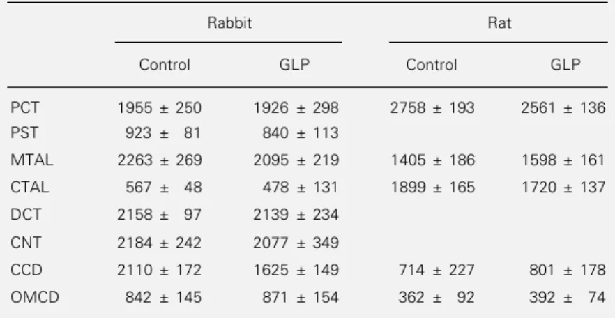 Table 3 - GLP has no effect on Mg-ATPase activity along the rabbit and the rat nephron.