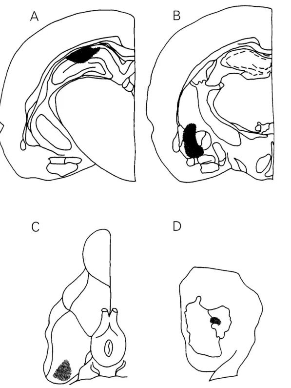Figure 1 - Schematic drawing of rat brain stions at planes A -4.3 and -2.3, respectively, of the atlas of Paxinos and Watson (15), showing the areas reached by the microinfusion cannula tips aimed at the CA1 region of the dorsal hippocampus (A) and between