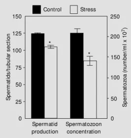 Table 2 - Effect of immobilization on rat seminal vesicle and ventral prostate w eight, and DNA and fructose content.