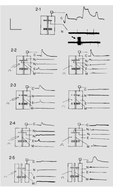 Figure 2) and mechanical (right column; Fig- Fig-ure 2) stimuli were used to identify these sources
