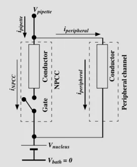 Figure 4 - Equivalent circuit for the proposed NPC system formed by the central and  pe-ripheral channels